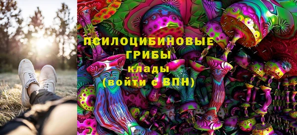 гашик Алзамай